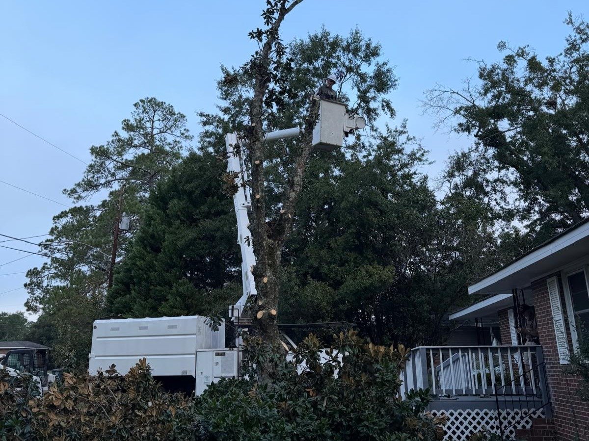 El Costeño Tree Service LLC